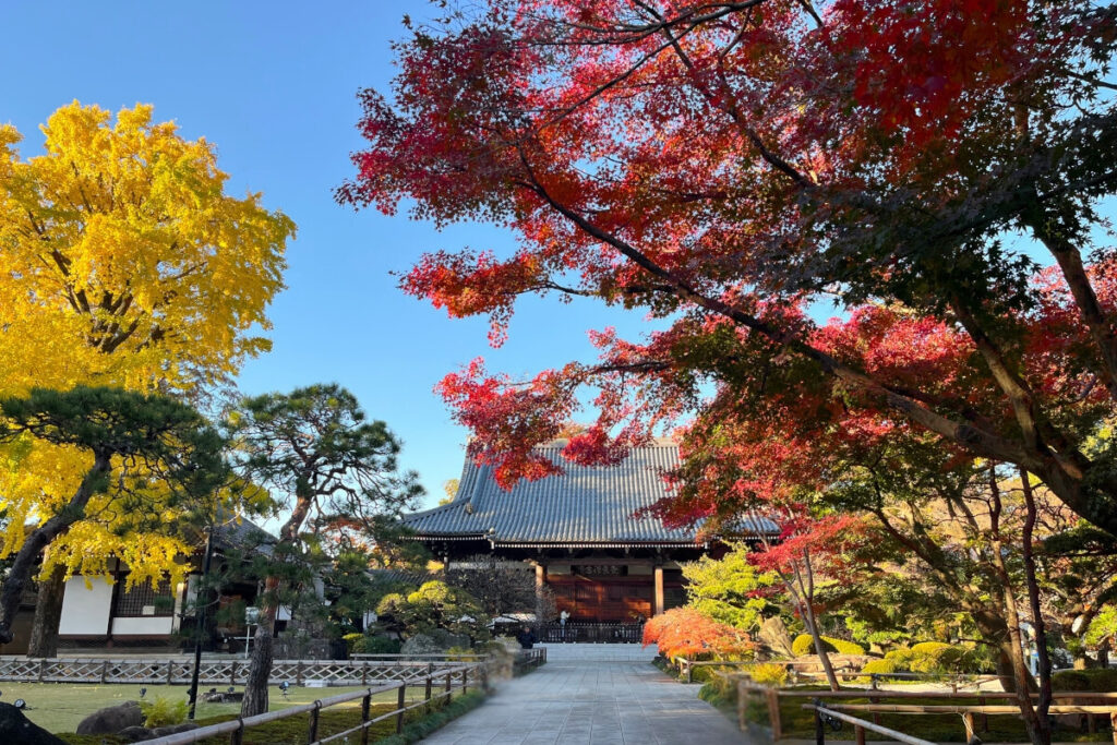 観泉寺