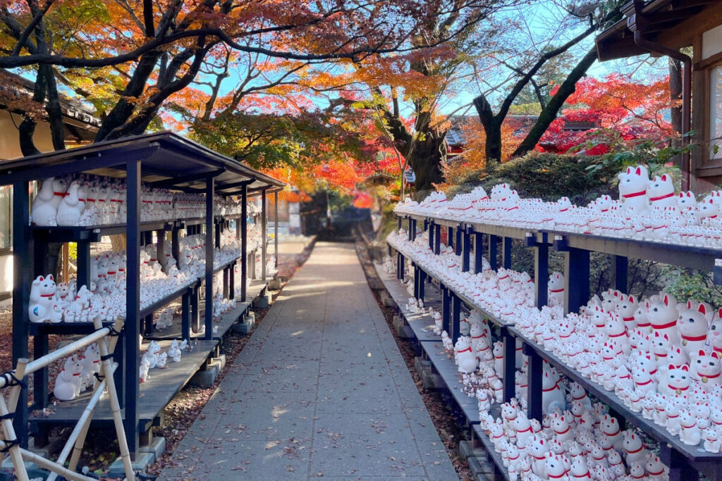 豪徳寺