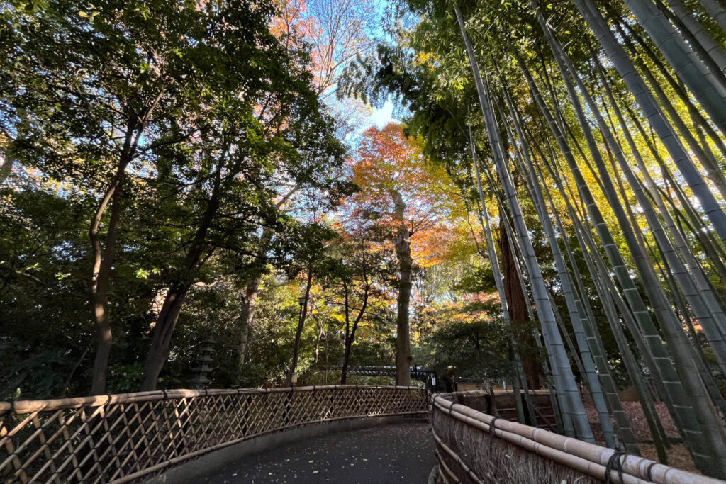 観泉寺