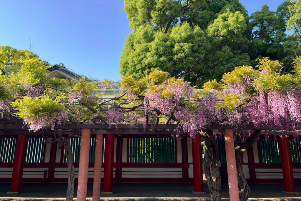 日枝神社