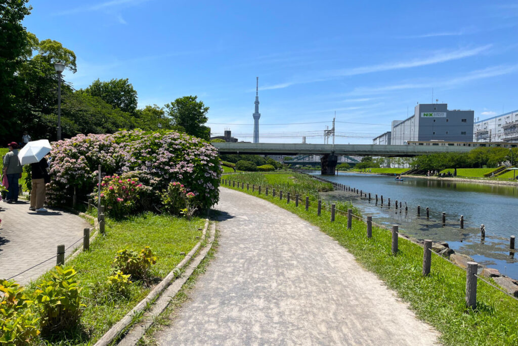 旧中川水辺公園