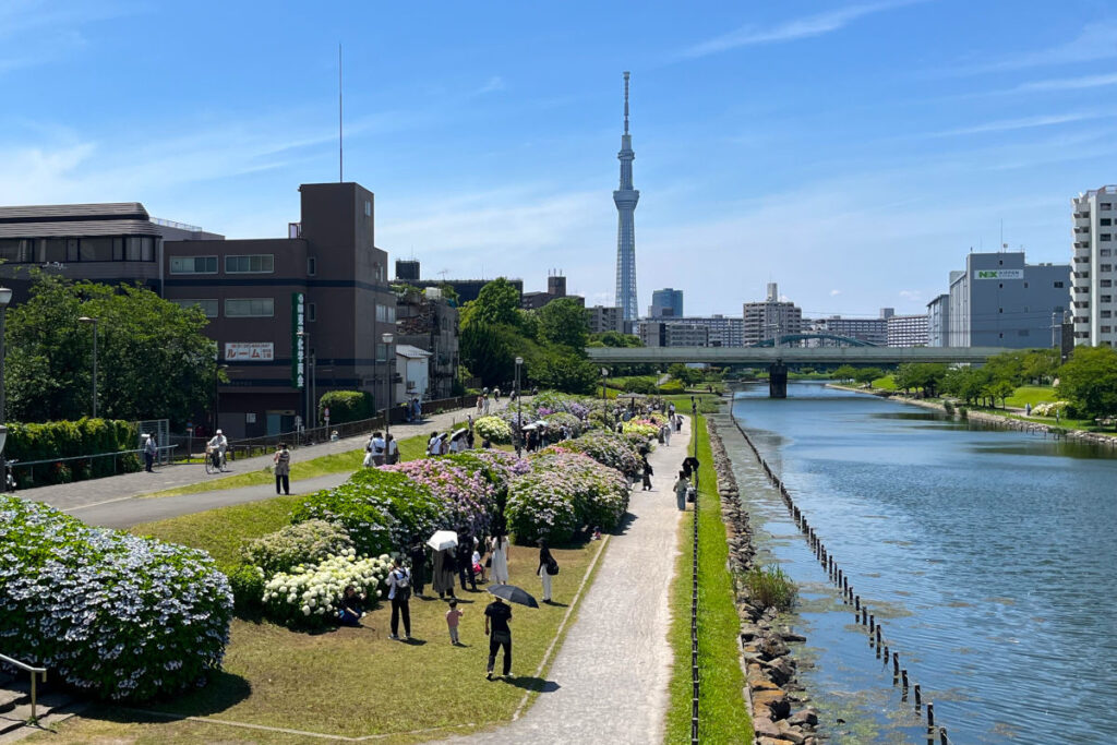 旧中川水辺公園