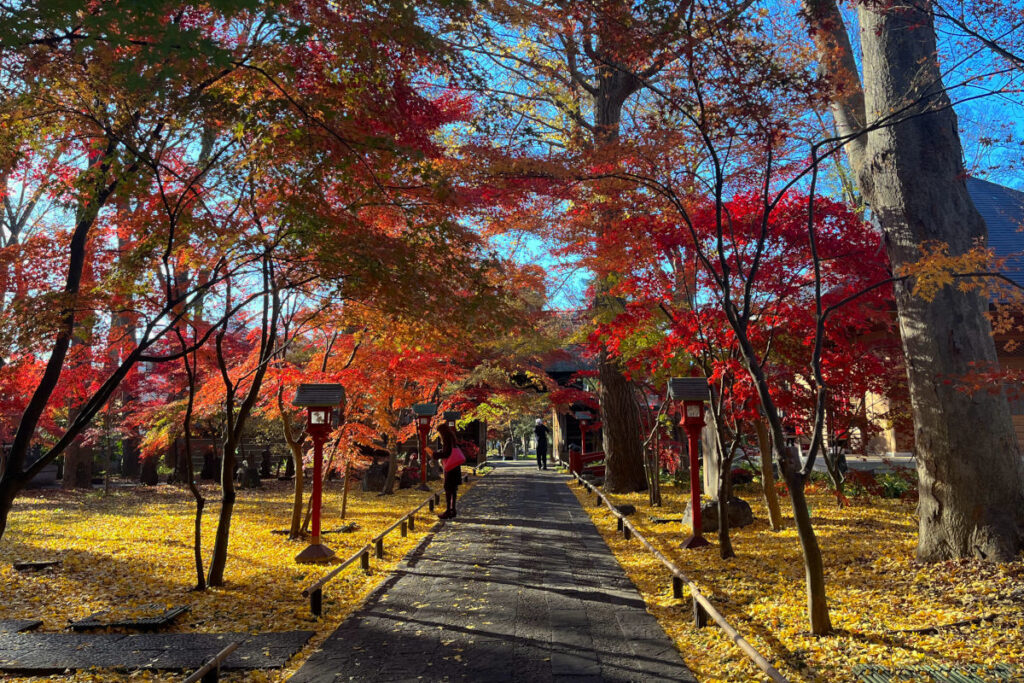 九品仏浄真寺